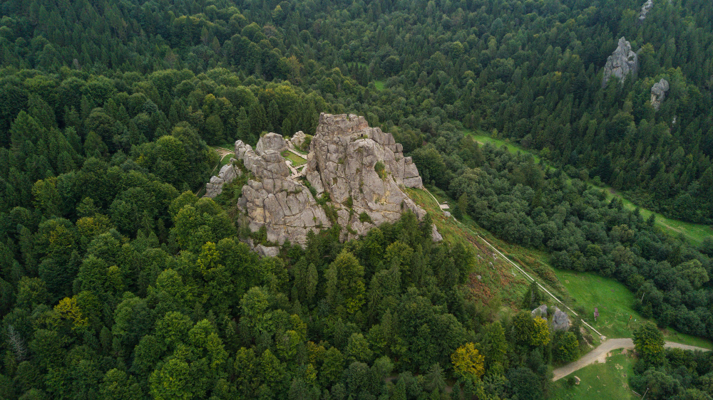 Hoia Baciu Forest, Romania