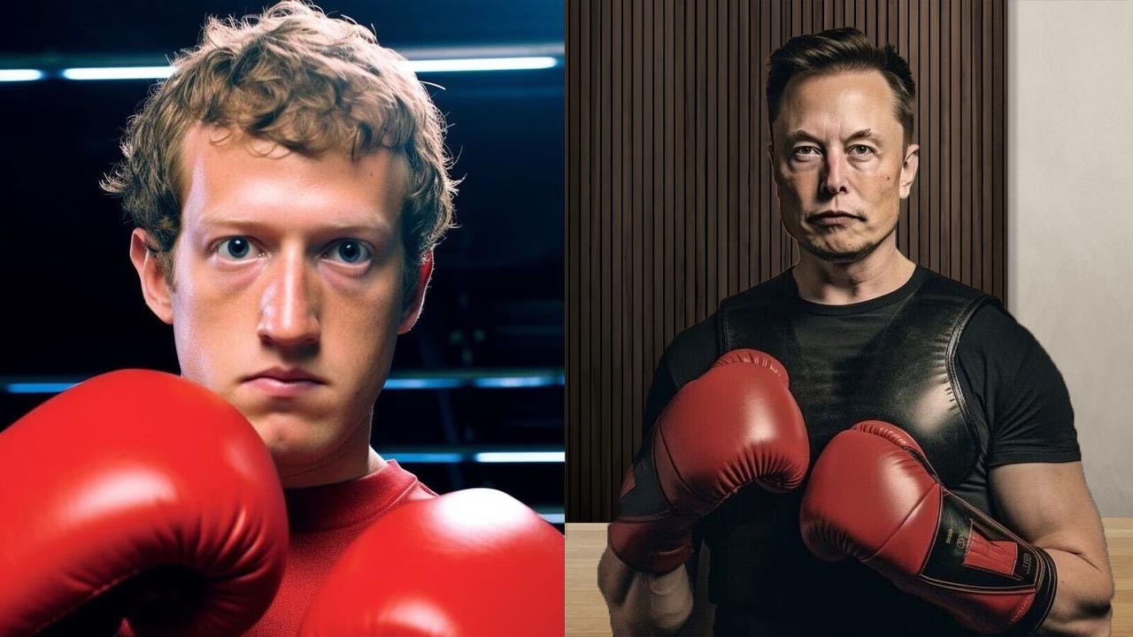 Musk vs. Zuckerberg Cage Fight
