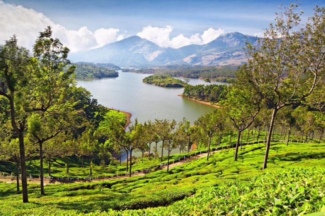 Explore the Enchanting Paradise: Best Places to Visit in Kerala